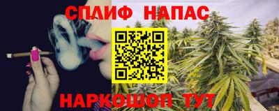 мяу мяу мука Беслан