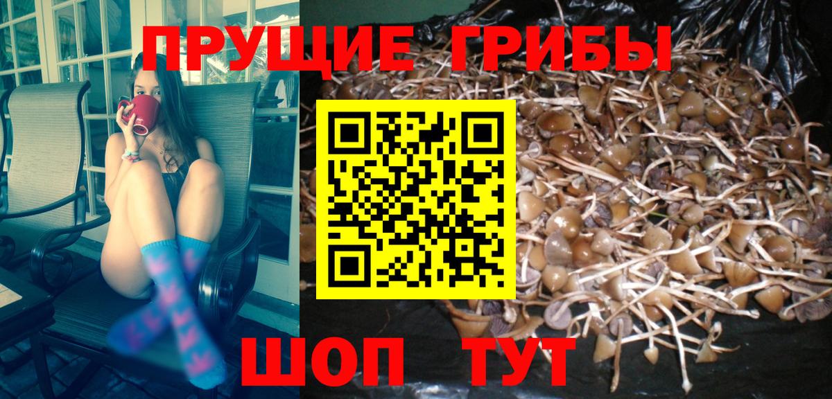 Галлюциногенные грибы MAGIC MUSHROOMS  Вход с VPN  Балашиха 